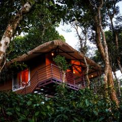 Coffee Cradle Wayanad Luxuorios Private Tree House - Inside 2 Acre Coffee Plantation Wetlands Wayanad Resort with Natural Waterfalls #SecureWayanadTreeHouse