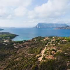 VILLETTA ELENA SAN TEODORO CODA CAVALLO