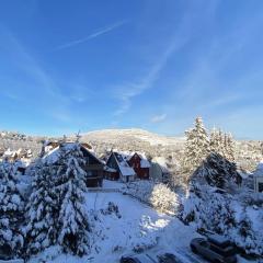 Ferienwohnung Gipfelblick Braunlage mit Garage