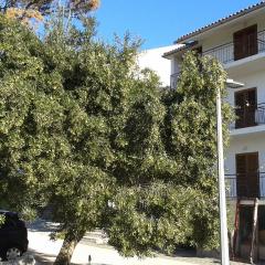 Apartments with a parking space Brela, Makarska - 20007