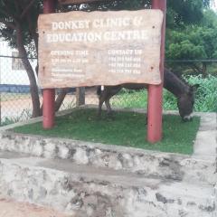 Donkey clinic and education center