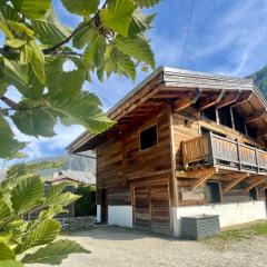 Chalet le petit Nicolas, jacuzzi, vue Mont Blanc