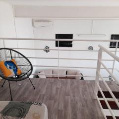 Appartement Mezzanine