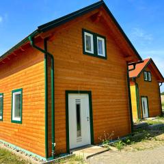 Holiday home in Spielberg Styria with sauna