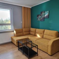 Nowy piękny apartament spokojna okolica, zielono, w poblizu basen, silownia, galerie, lotnisko 8 min