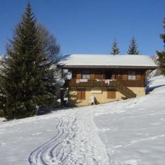 Chalet Leiggener