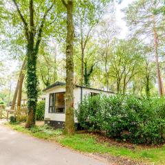 Veluwe Chalet aan het bos - Kids - Pool - Dog