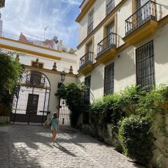 Sevilla Centro-Casco Antiguo -Vidrio 36