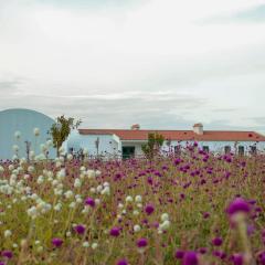 Monte de Palma- Quinta Biodinâmica Momentos Únicos