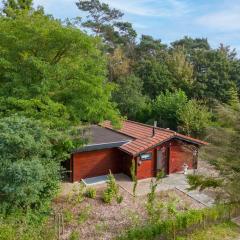 Spacious wooden cottage with infra-red sauna at Veluwe