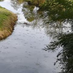 la chambre du moulin de la bleure