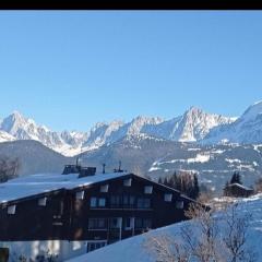 Studio porte du Mont Blanc Combloux aux pieds des pistes