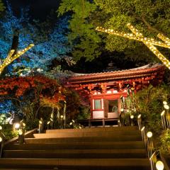 Grand Prince Hotel Takanawa