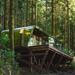 Forest Lodges