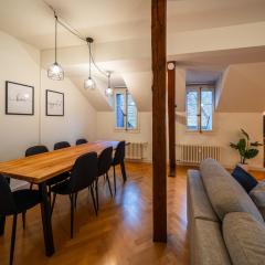 Old town apt in the heart of Thun with garden