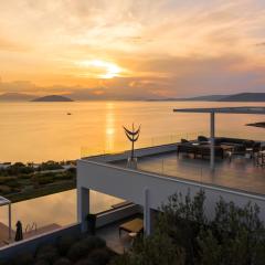 Villa Artemis - New Magnificent Beachfront Villa with Infinity Pool!