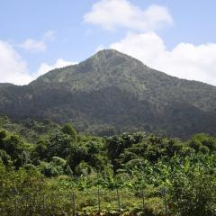 O Logis du Morne Jacob "CITRON", Le Morne-Rouge Martinique