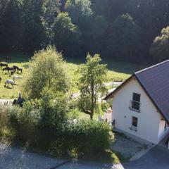 Kellerstöckl am Gut Kunterbunt