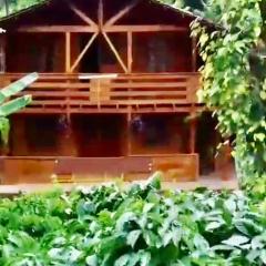 Coorg Northbreeze Wooden Stay