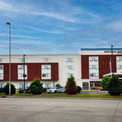 SpringHill Suites by Marriott Baton Rouge Gonzales