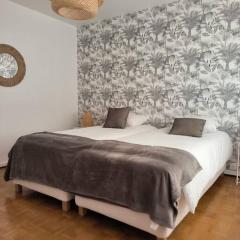 Appartement centre-ville Colmar