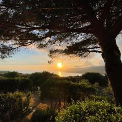 Résidence île de beauté