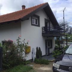 Apartments with a parking space Stubicke Toplice, Zagorje - 22028