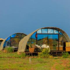 Amanya 2-Rooms Lioness Family