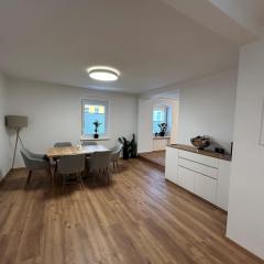 Ferienwohnung Gmunden City