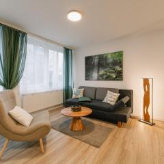 Modernes 2-Zimmer Themen-Apartment im Zentrum