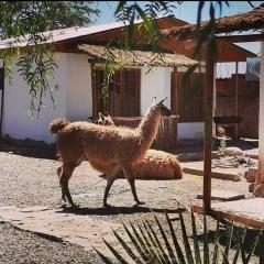 Cabañas Voyage Atacama