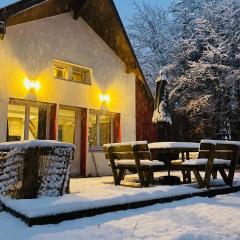 Chalet cosy entre lacs et montagnes