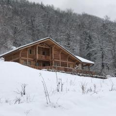 Chalet savoyard d'exception avec piscine chauffée