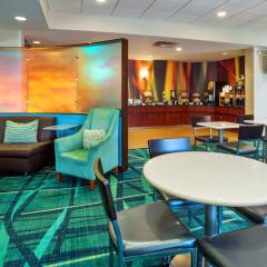 Springhill Suites by Marriott Chicago Schaumburg/Woodfield Mall