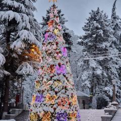 Borjomi Home