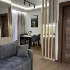 Apartman Borovi 11 Divčibare