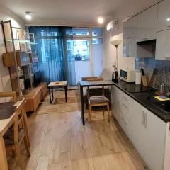 Apartament pod górą Szyndzielnia , Dębowiec