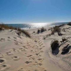 Beachfront 3 Bedroom Family Apartment