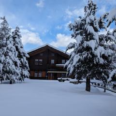 Zermattmountainchalet Tambiel