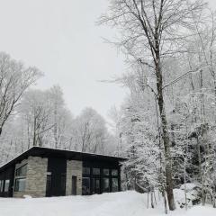 Chalet FEU en pleine nature à Tremblant.