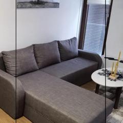 Borovi 2 Divcibare/apartman 7