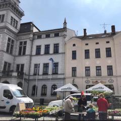 Ein Zimmer Wohnung am Markt