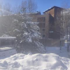 Appartement au départ des remontées mécaniques - Briançon