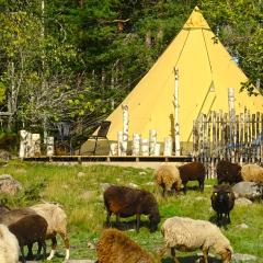 Västeräng Glamping