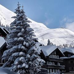 Imhof Alpine B&B Apartments