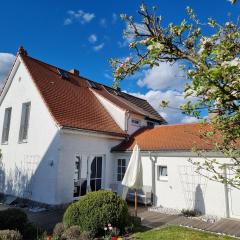 Ferienhaus Rosengarten