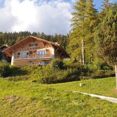 Chalet La Louise avec vue imprenable