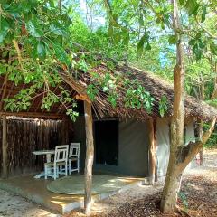 Bamba Kofi Tented Camp