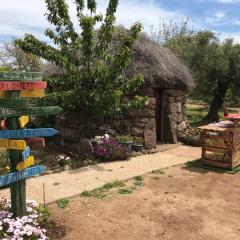 Azienda agricola Affittacamere S'Ispinalba di Laura Pitzolu