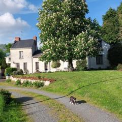 Chambres d'Hôtes de l'Ile du Saule